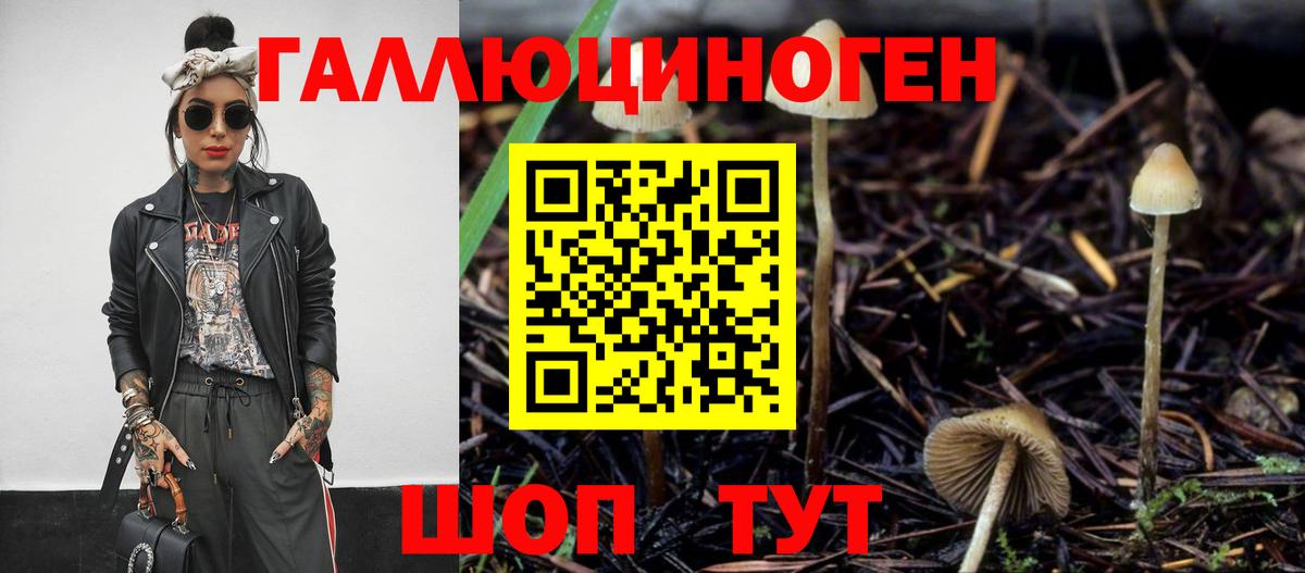 Галлюциногенные грибы MAGIC MUSHROOMS Пугачёв