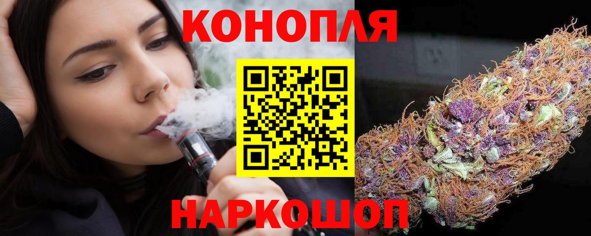 Конопля сатива Пугачёв